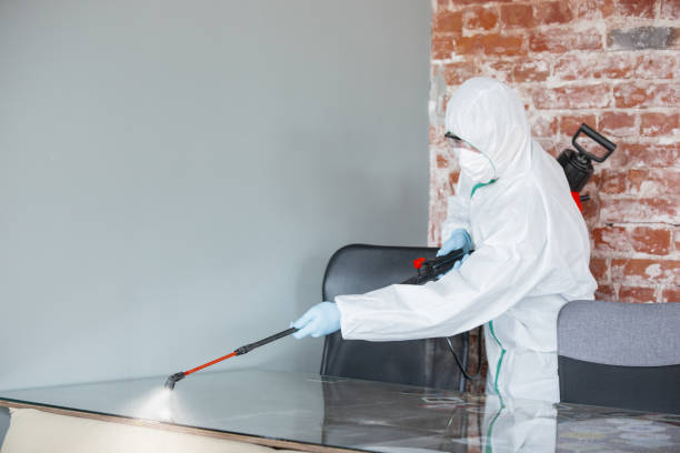 Mold Remediation for Rental Properties in Desert Palms, CA